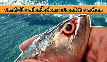 ปลา กับวิธีการเลือกซื้อเพื่อความปลอดภัยในการบริโภค
